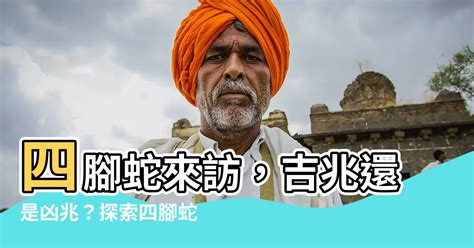 四腳蛇入屋風水|【四腳蛇風水】四腳蛇來訪，吉兆還是凶兆？探索四腳。